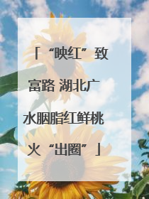 “映红”致富路 湖北广水胭脂红鲜桃火“出圈”