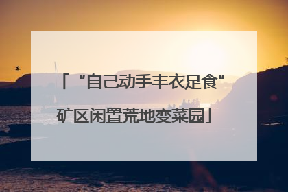 “自己动手丰衣足食”矿区闲置荒地变菜园