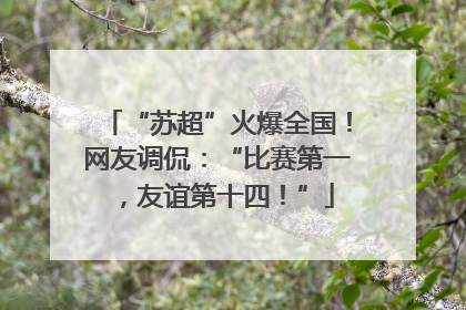 “苏超”火爆全国！网友调侃：“比赛第一，友谊第十四！”