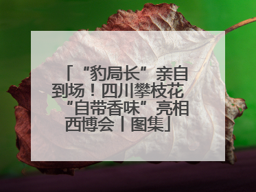 “豹局长”亲自到场！四川攀枝花“自带香味”亮相西博会丨图集