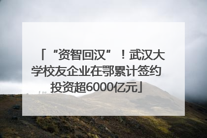 “资智回汉”！武汉大学校友企业在鄂累计签约投资超6000亿元