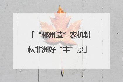 “郴州造”农机耕耘非洲好“丰”景