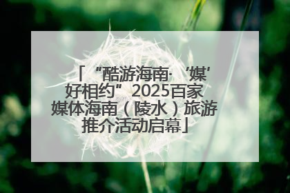 “酷游海南·‘媒’好相约”2025百家媒体海南（陵水）旅游推介活动启幕
