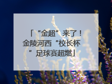 “金超”来了！金陵河西“校长杯”足球赛超燃