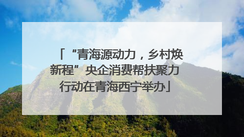 “青海源动力，乡村焕新程”央企消费帮扶聚力行动在青海西宁举办