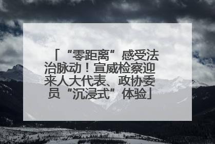 “零距离”感受法治脉动！宣威检察迎来人大代表、政协委员“沉浸式”体验