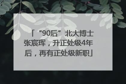 “90后”北大博士张宸珲，升正处级4年后，再有正处级新职