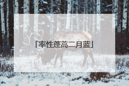 率性蓬蒿二月蓝