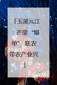 玉溪元江：芒果“爆单” 联农带农产业兴