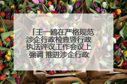 王一鸥在严格规范涉企行政检查暨行政执法评议工作会议上强调 推进涉企行政检查质效大幅提升