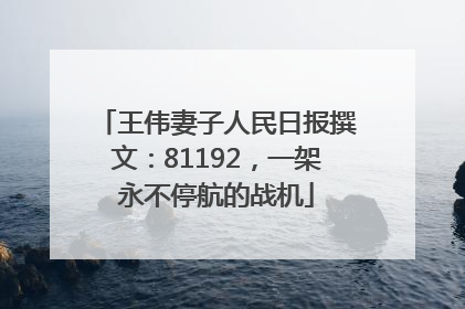 王伟妻子人民日报撰文：81192，一架永不停航的战机