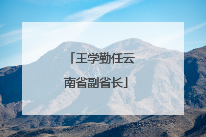 王学勤任云南省副省长