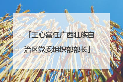 王心富任广西壮族自治区党委组织部部长