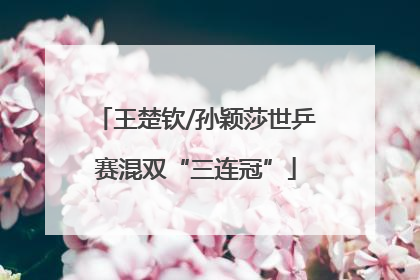 王楚钦/孙颖莎世乒赛混双“三连冠”