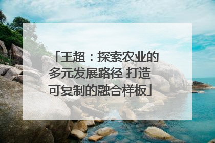 王超：探索农业的多元发展路径 打造可复制的融合样板