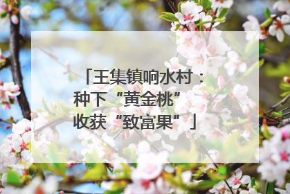 王集镇响水村：种下“黄金桃” 收获“致富果”