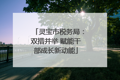 灵宝市税务局：双措并举 赋能干部成长新动能