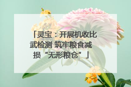灵宝：开展机收比武检测 筑牢粮食减损“无形粮仓”