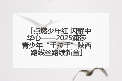 点燃少年红 闪耀中华心——2025浦莎青少年“手拉手”陕西路线丝路续新章