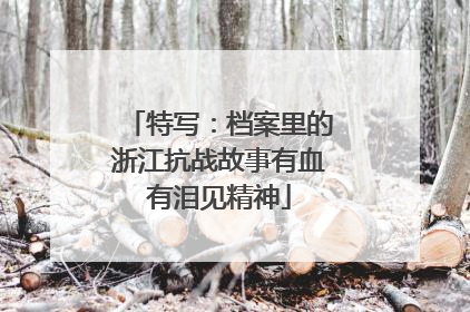 特写：档案里的浙江抗战故事有血有泪见精神