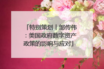 特别策划丨邹传伟：美国政府数字资产政策的影响与应对