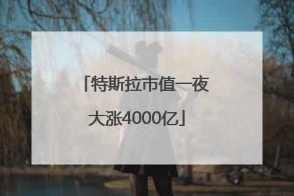 特斯拉市值一夜大涨4000亿