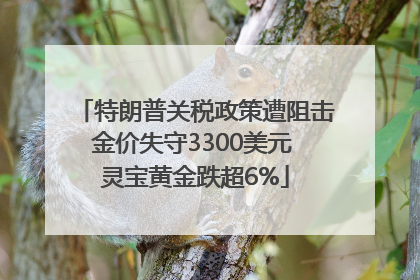 特朗普关税政策遭阻击金价失守3300美元 灵宝黄金跌超6%