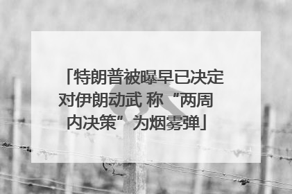 特朗普被曝早已决定对伊朗动武 称“两周内决策”为烟雾弹