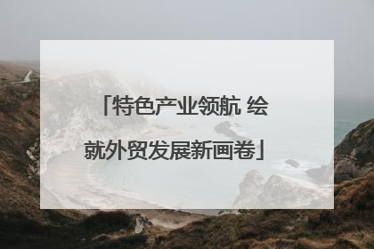 特色产业领航 绘就外贸发展新画卷