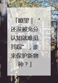瞭望｜“还没被充分认知就难觅其踪”，谁来保护新物种？