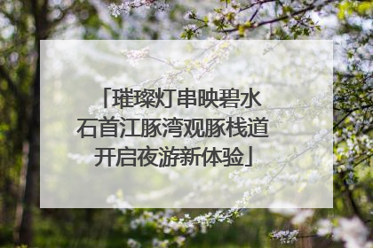 璀璨灯串映碧水 石首江豚湾观豚栈道开启夜游新体验