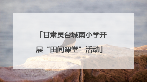 甘肃灵台城南小学开展“田间课堂”活动