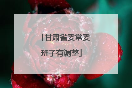 甘肃省委常委班子有调整