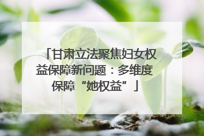 甘肃立法聚焦妇女权益保障新问题：多维度保障“她权益”
