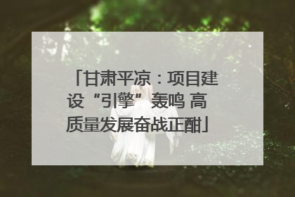 甘肃平凉：项目建设“引擎”轰鸣 高质量发展奋战正酣