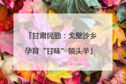 甘肃民勤：戈壁沙乡孕育“甘味”领头羊
