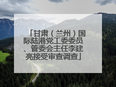 甘肃（兰州）国际陆港党工委委员、管委会主任李建亮接受审查调查