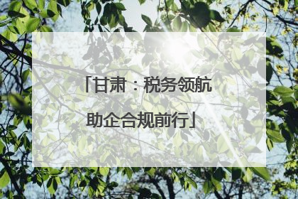 甘肃：税务领航 助企合规前行
