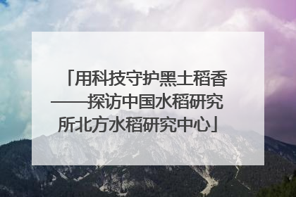 用科技守护黑土稻香——探访中国水稻研究所北方水稻研究中心