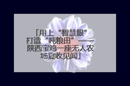 用上“智慧眼” 打造“吨粮田”——陕西宝鸡一座无人农场夏收见闻