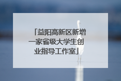益阳高新区新增一家省级大学生创业指导工作室
