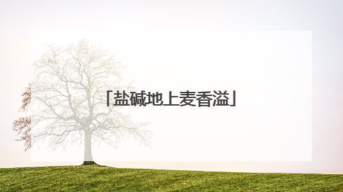 盐碱地上麦香溢