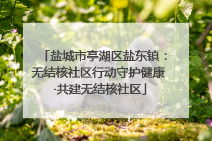 盐城市亭湖区盐东镇：无结核社区行动守护健康 ·共建无结核社区