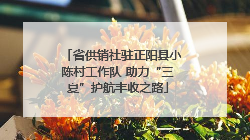省供销社驻正阳县小陈村工作队 助力“三夏”护航丰收之路