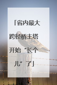 省内最大跨径桥主塔开始“长个儿”了
