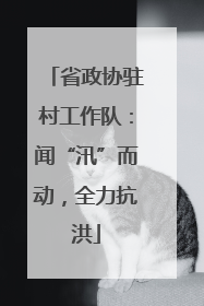 省政协驻村工作队：闻“汛”而动，全力抗洪