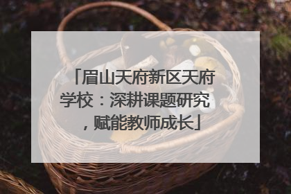 眉山天府新区天府学校：深耕课题研究，赋能教师成长