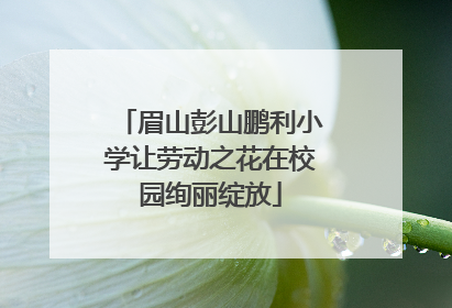 眉山彭山鹏利小学让劳动之花在校园绚丽绽放
