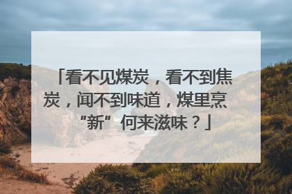 看不见煤炭，看不到焦炭，闻不到味道，煤里烹“新”何来滋味？