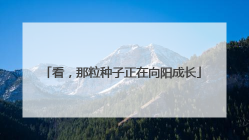 看，那粒种子正在向阳成长